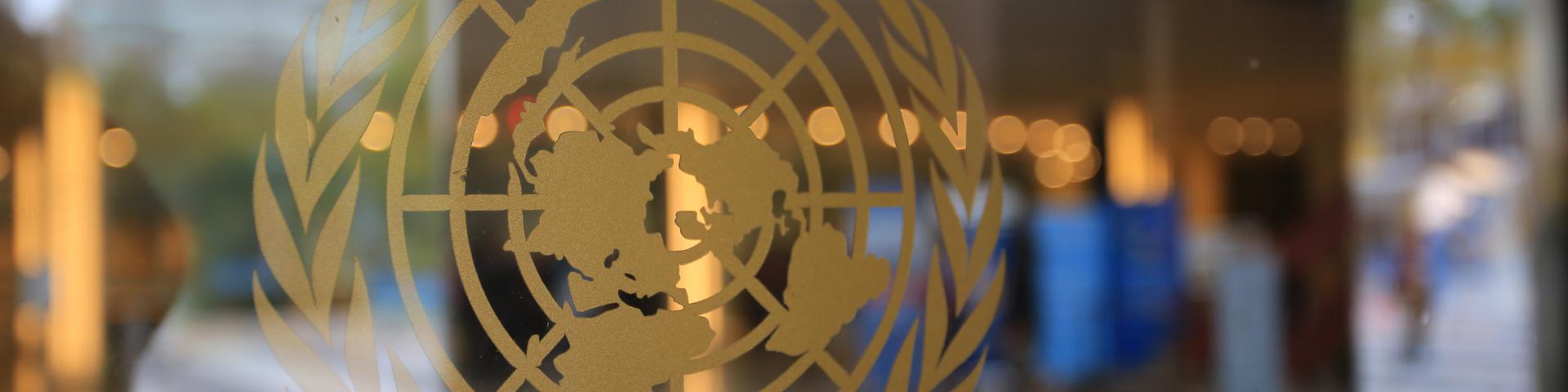 UN Logo.jpeg