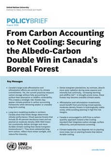 Policy brief cover