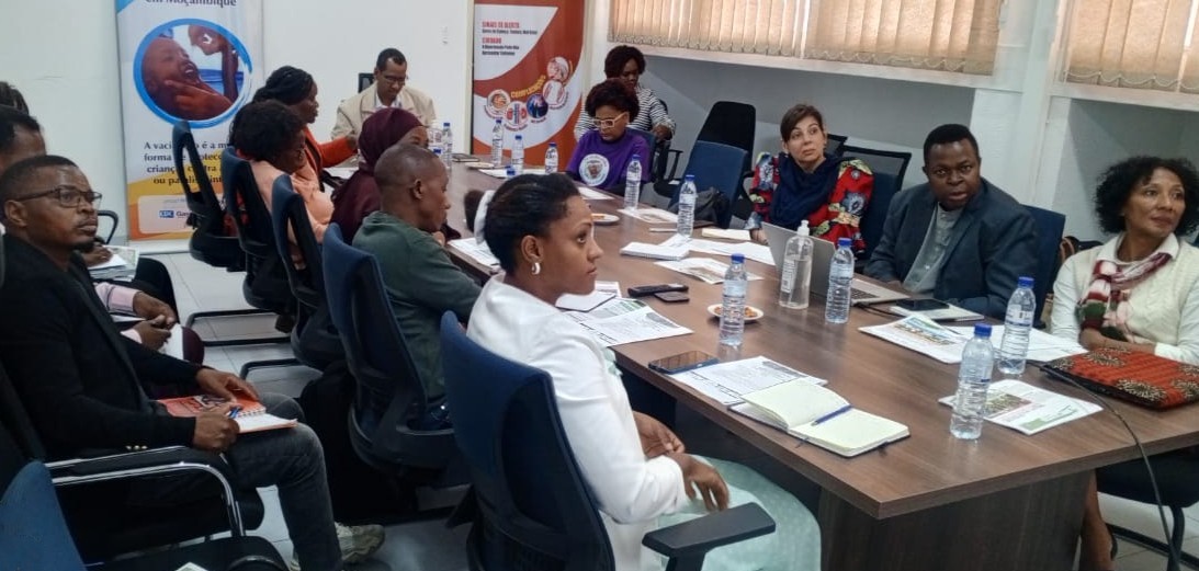 Meeting of the CPIA Advisory Board Committee - November 17, 2025 - MISAU (Ministry of Health).