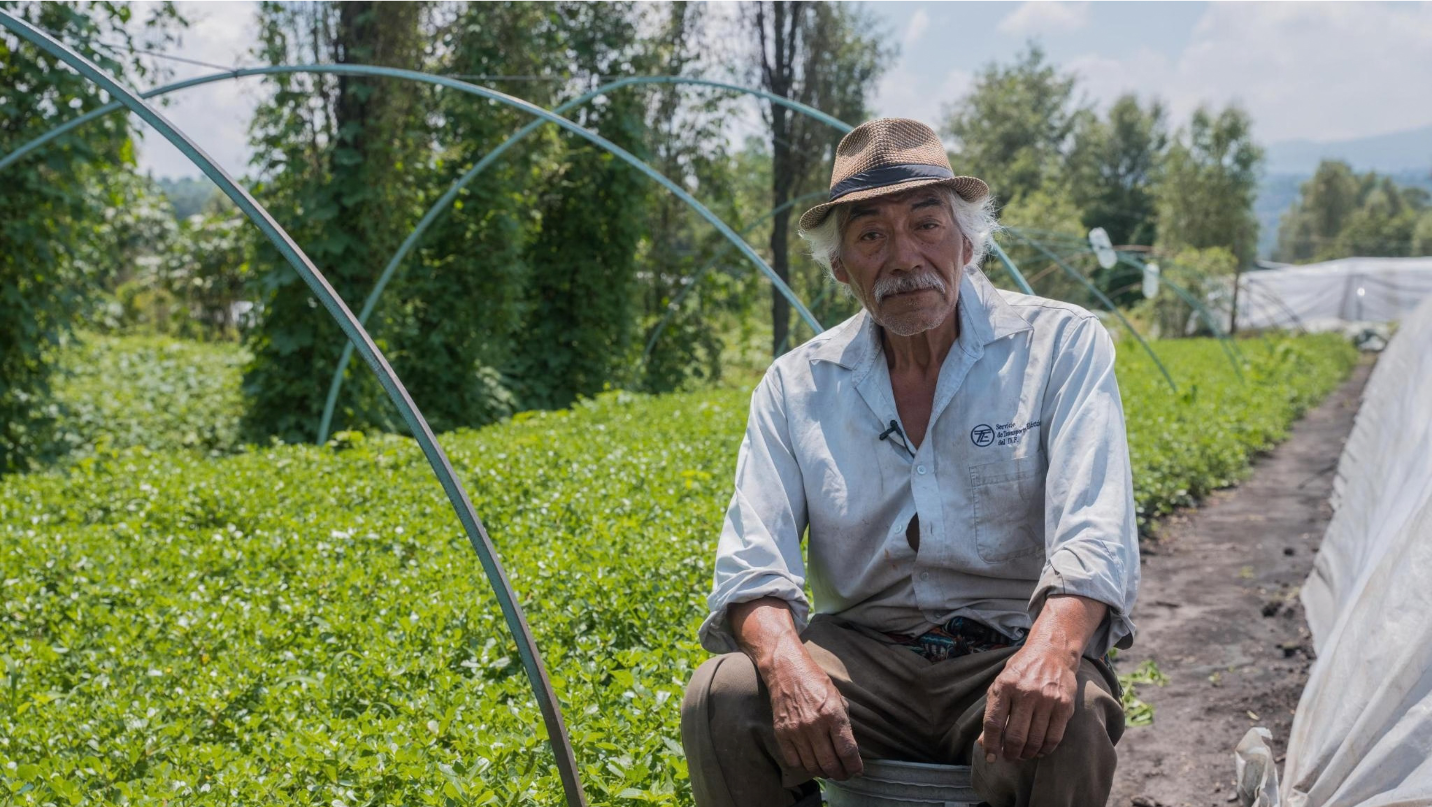 An elderly man sits in an agricultural field.