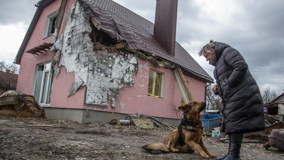 A woman stands near her damaged house in the village of Novoselivka [April 2022]. 