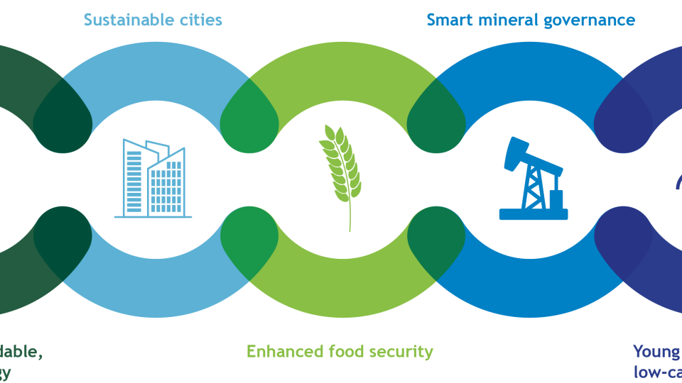 UNU-INRA Vision for Africa