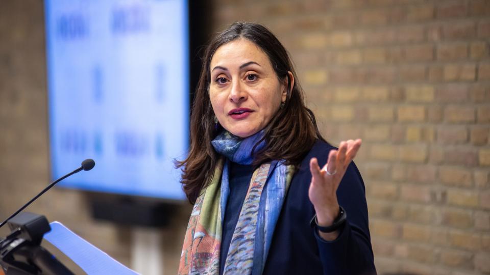 Zina Nimeh, Associate Professor of Social Protection and Public Policy