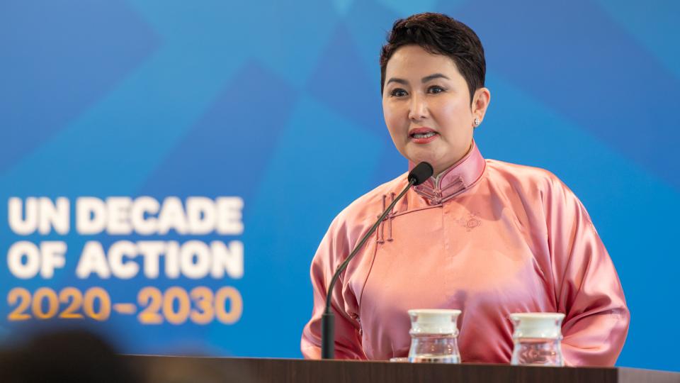 H.E. Ms. Battsetseg Batmunkh, Minister for Foreign Affairs of Mongolia