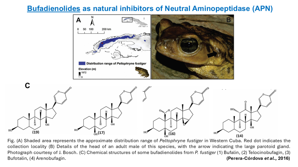 Bufadienolides results