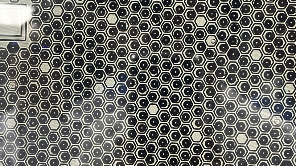 single cells
