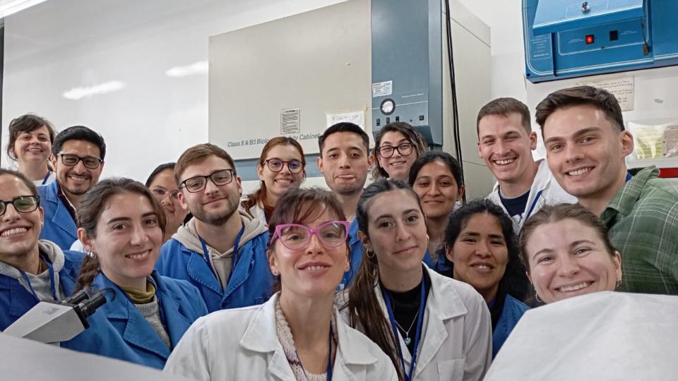 lab