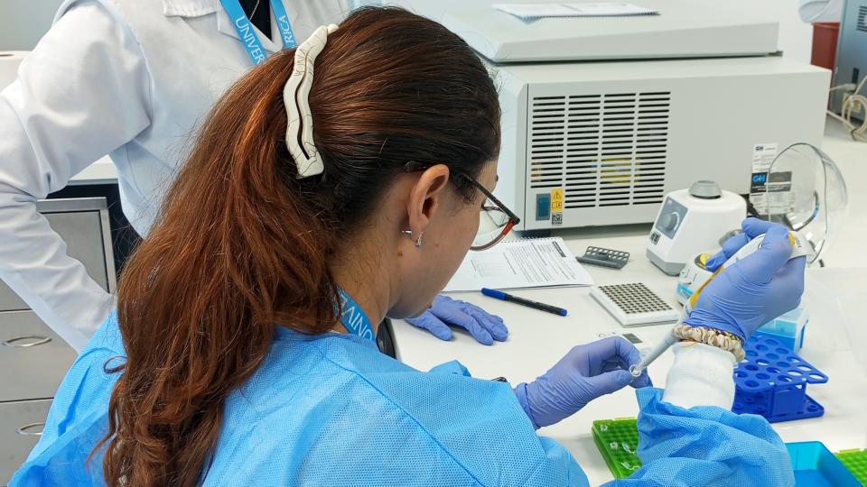 Sigle cell course