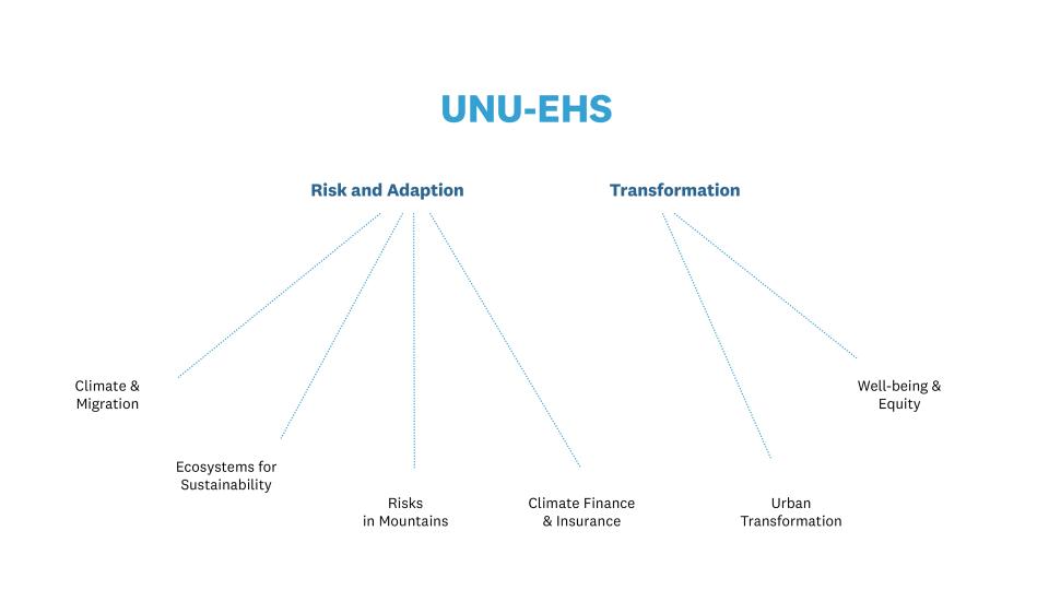 Organigram of UNU-EHS