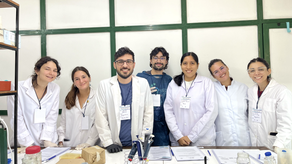 group fellows