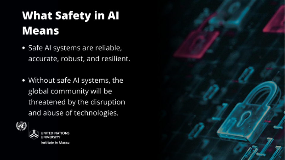 Safety in AI