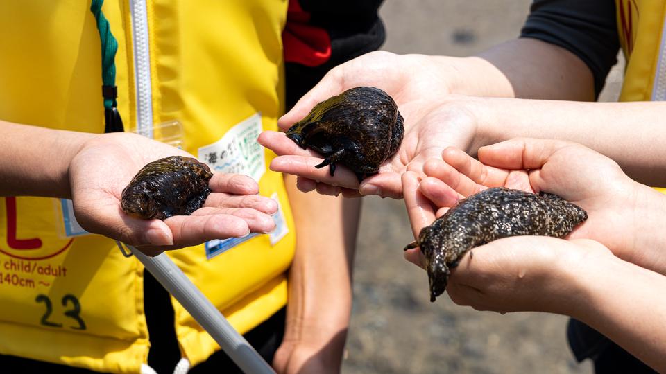 Students examine marine creatures.jpg