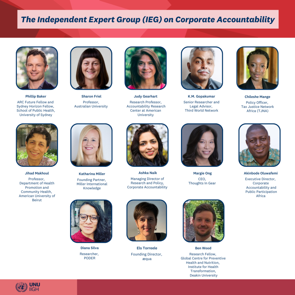 The Independent Expert Group (IEG) on Corporate Accountability is now officially launched