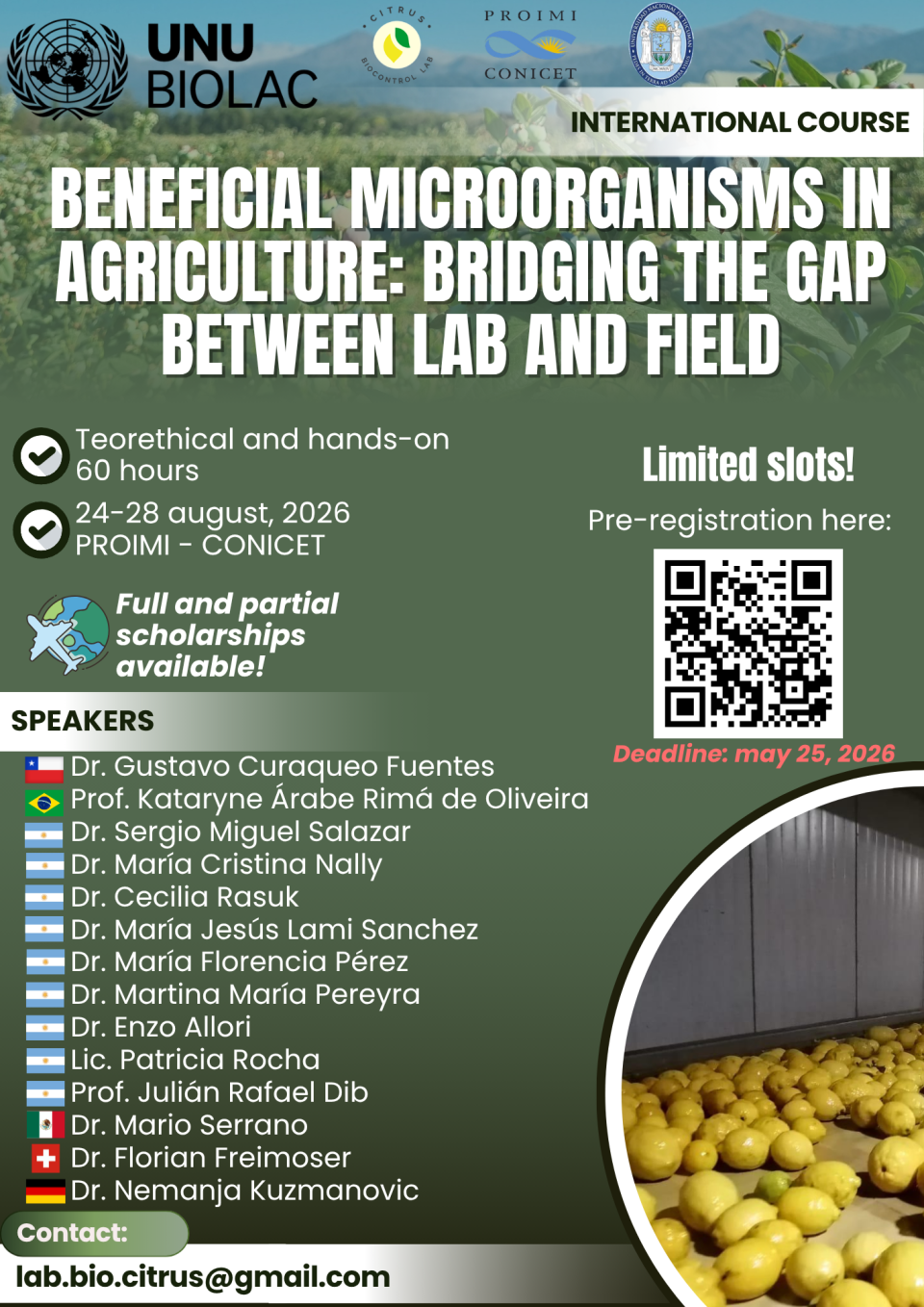 Flyer dib 2026