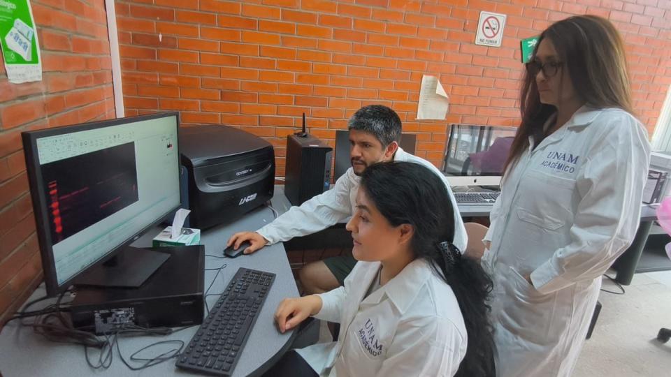 lab