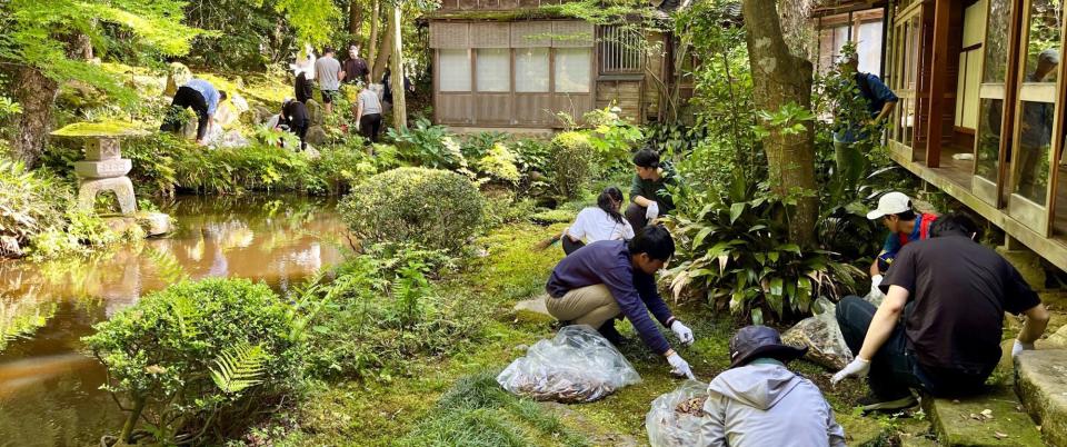 Traditional Japanese garden clean-up