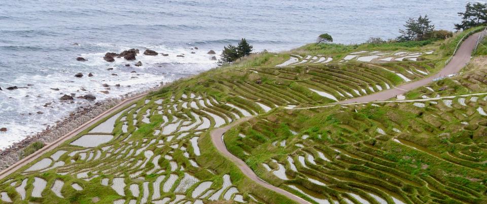 Rice terraces on Noto Peninsula