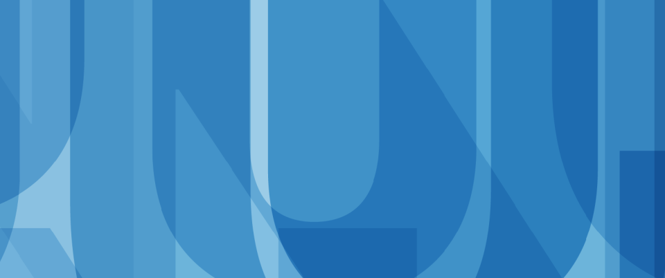 BluePattern_EGOV.png