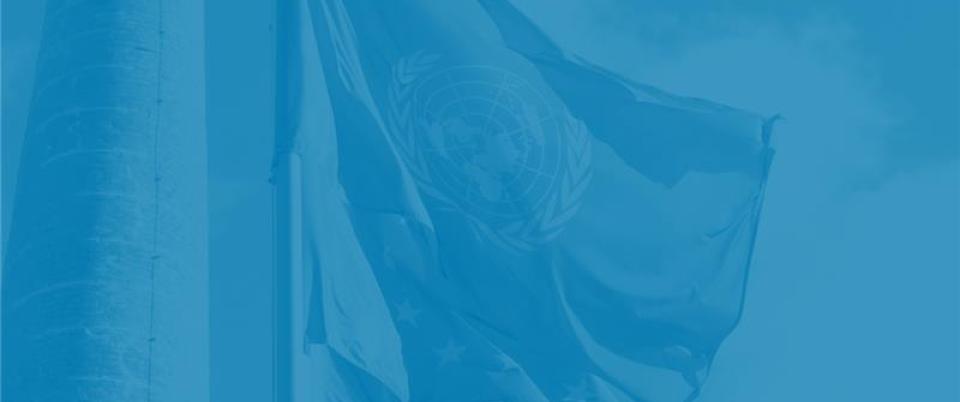 UN Flag