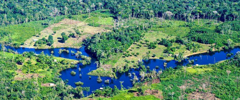 Aerial view of the Amazon Rainforest, near Manaus, the capital of the Brazilian state of Amazonas, Brazil.