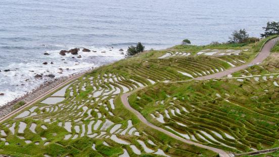 Rice terraces on Noto Peninsula