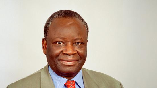 Portrait Photo of Ibrahim Gambari