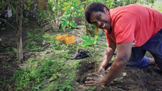 Woman Plants An Indigenous Fruit Tree