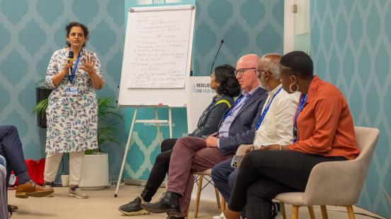 Session at COP28 Resilience Hub