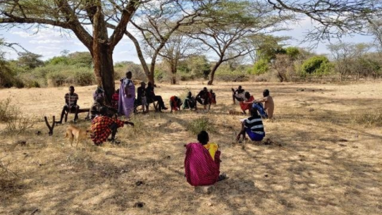Djiboutians gathered near a tree