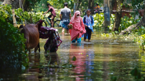 People and a horse walking through knee-high water in a forest