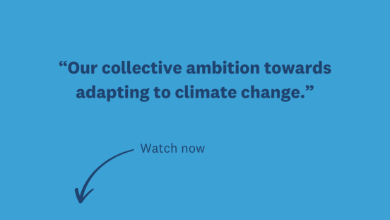Thumbnail of video on Global Goal on Adaptation