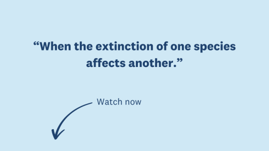 Thumbnail of video on accelerating extinctions