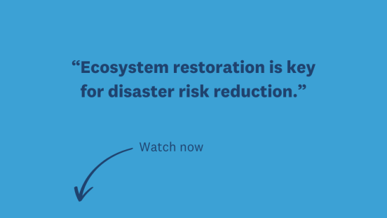 Thumbnail of video on Ecosystem Restoration