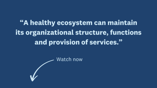 Thumbnail of video on Ecosystem Health