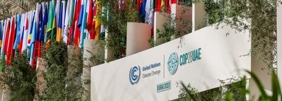 Photo of Flags around the COP28 Logo