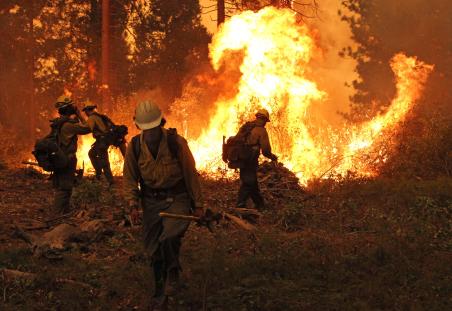 Silver State Interagency Hotshot Crew at work on a burning operation at the Rim Fire. 