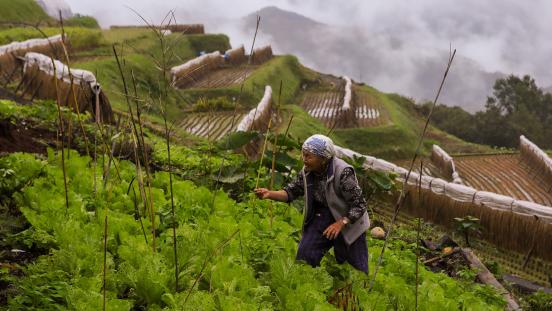 Woman farming in Takachihogo, Japan