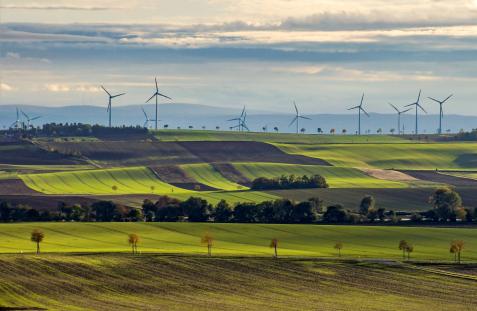 Green fields with wind turbines