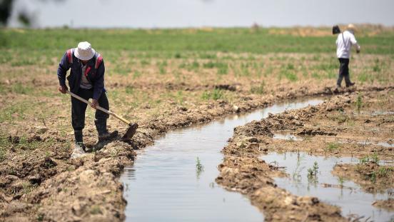 Men digging soil for irrigation