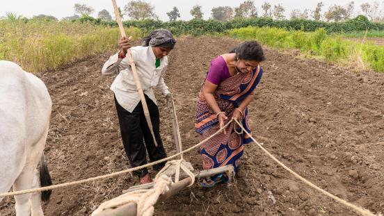 Farmers in India