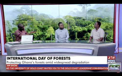 International Day of Forests 2025