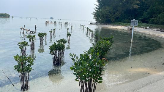 Pari Island