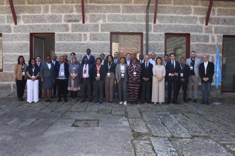 UN-PT_Fellowship_EGOV