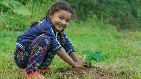 A little girl plants a tree seedling