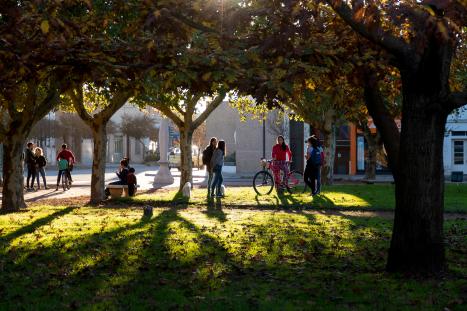 Students within a green space of a university campus