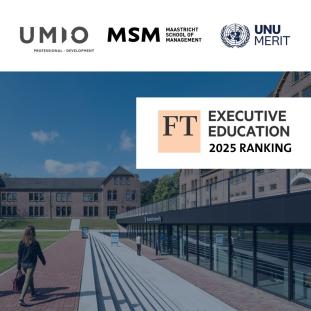 SBE UNU MERIT_FT ranking