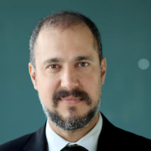 Prof. Kaveh Madani
