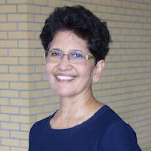 Prof. Nirupama Agrawal