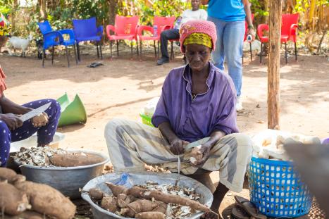 INFoCAT Innovators meet smallholders 