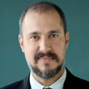 Prof. Kaveh Madani